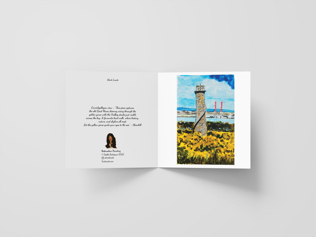 Carrickgollogan view