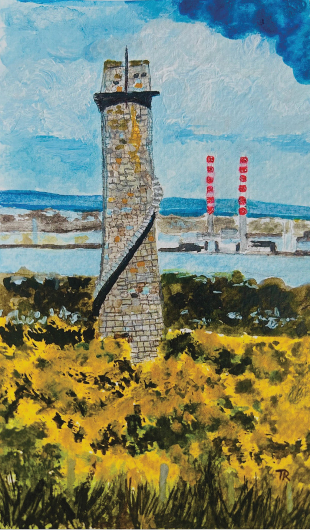 Carrickgollogan view