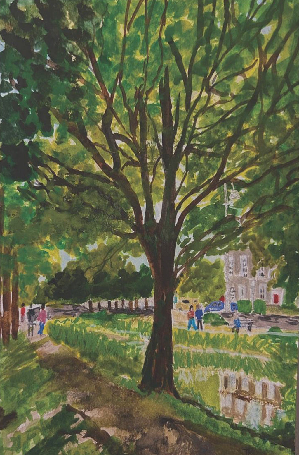 Beneath the Summer canopy